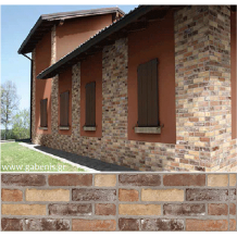 NEW: Brick Mix 31x62cm